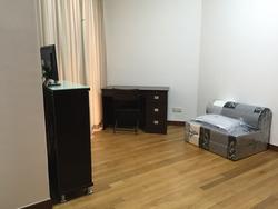 Dover Parkview (D5), Condominium #86009982